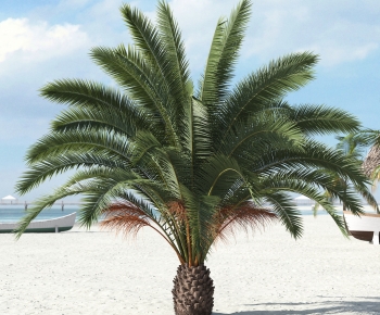 Modern Tree-ID:742309099