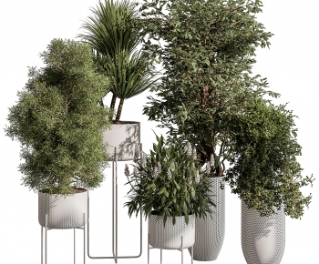 Modern Ground Green Plant Potted Plants-ID:241514927