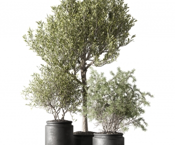 Modern Ground Green Plant Potted Plants-ID:515758994