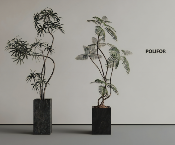 Modern Ground Green Plant Potted Plants-ID:182538998