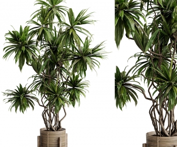 Modern Ground Green Plant Potted Plants-ID:763956079