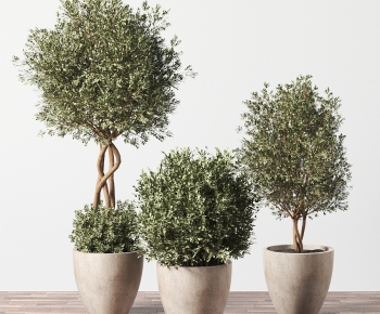 Modern Ground Green Plant Potted Plants-ID:438683995