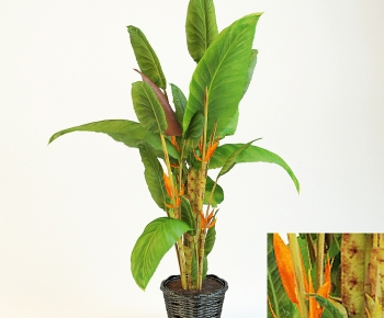 Modern Ground Green Plant Potted Plants-ID:188002111