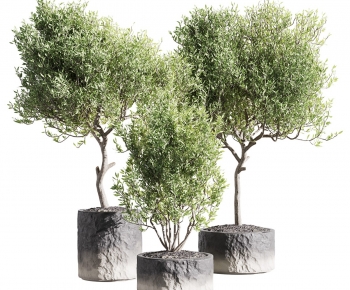 Modern Ground Green Plant Potted Plants-ID:958230024