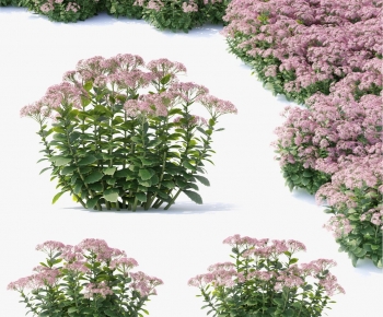 Modern Shrubbery-ID:163420925