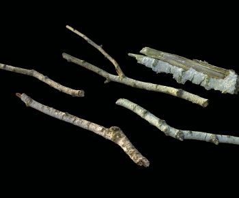 Modern Wood-ID:817275059