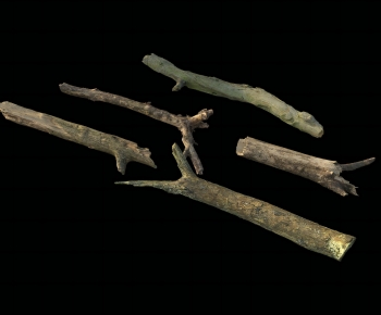 Modern Wood-ID:694293989