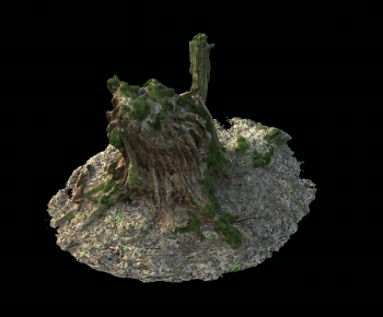 Modern Wood-ID:704363118