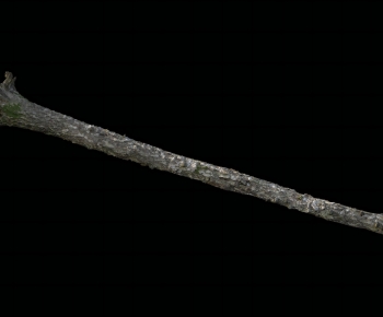 Modern Wood-ID:995842938