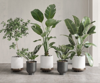 现代落地绿植盆栽组合-ID:167072063
