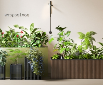 Modern Flower Bed, Flower Bowl, Flower Box-ID:879951959