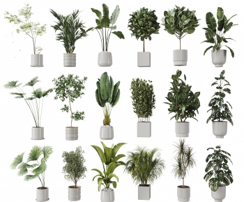 现代落地绿植盆栽组合-ID:830734977