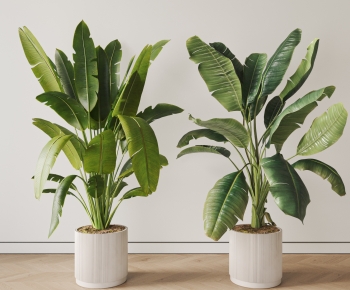 现代落地绿植盆栽组合-ID:345815905