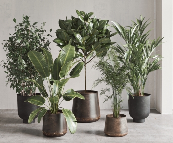 现代落地绿植盆栽组合-ID:788789036