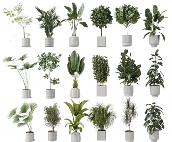 Modern Ground Green Plant Potted Plants-ID:423217063