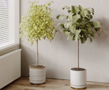 Modern Ground Green Plant Potted Plants-ID:459331992