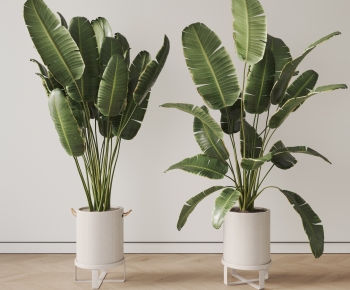 Modern Ground Green Plant Potted Plants-ID:437525034