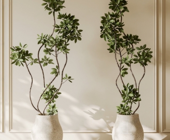 Modern Ground Green Plant Potted Plants-ID:354747066