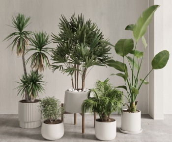 现代落地绿植盆栽组合-ID:603840481
