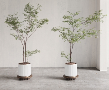 现代落地绿植盆栽组合-ID:548408039