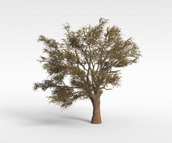 Modern Tree-ID:454708109