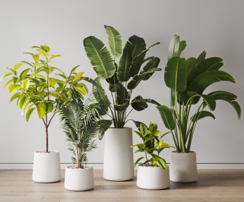 Modern Ground Green Plant Potted Plants-ID:163408049