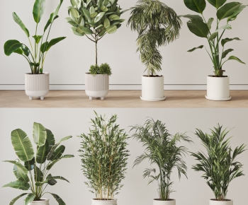 Modern Ground Green Plant Potted Plants-ID:146208055