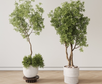 现代落地绿植盆栽组合-ID:405376911