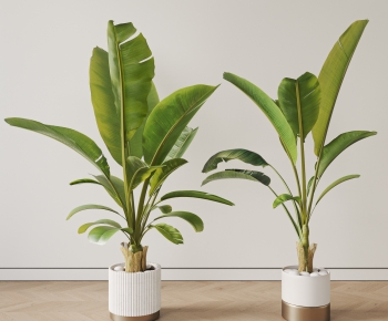 现代落地绿植盆栽组合-ID:864152913