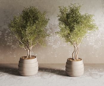 现代落地绿植盆栽组合-ID:704824928
