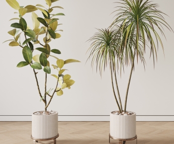 现代落地绿植盆栽组合-ID:674441108