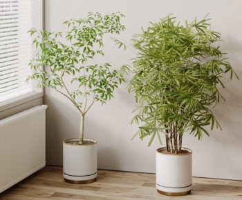现代落地绿植盆栽组合-ID:470602041