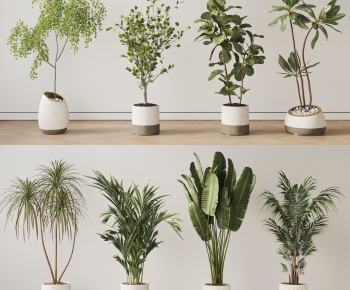 Modern Ground Green Plant Potted Plants-ID:434272057