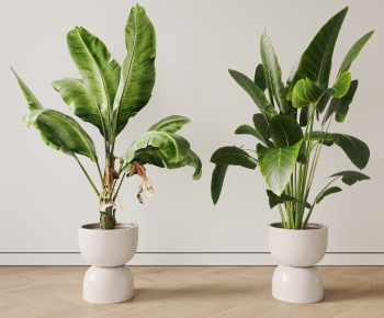 现代落地绿植盆栽组合-ID:803000951
