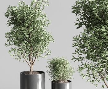 现代落地绿植盆栽组合-ID:310502058