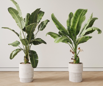 现代落地绿植盆栽组合-ID:396670106