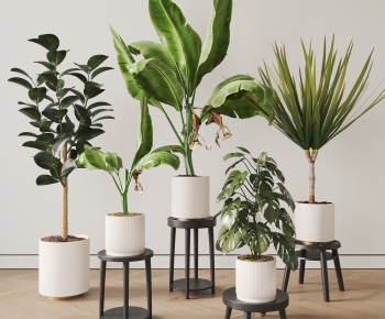 现代落地绿植盆栽组合-ID:128196002