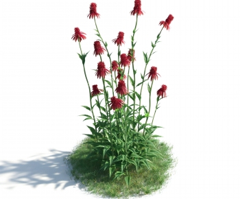 Modern Flowers And Grass-ID:391206982