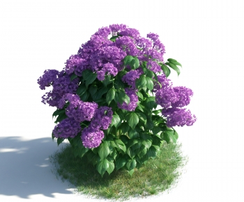 Modern Flowers And Grass-ID:753326899