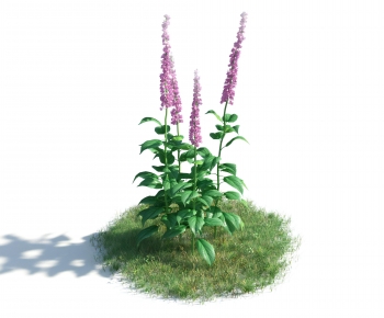 Modern Flowers And Grass-ID:675636052