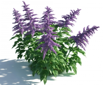 Modern Flowers And Grass-ID:396167046