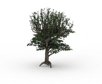 Modern Tree-ID:946718938