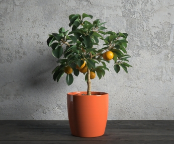 Modern Potted Green Plant-ID:856332065
