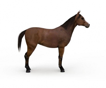 Modern Animal Horse-ID:517118936