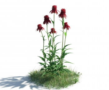 Modern Flowers And Grass-ID:111299048