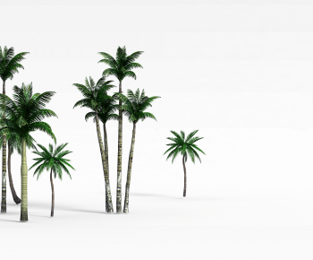 Modern Tree-ID:668812041