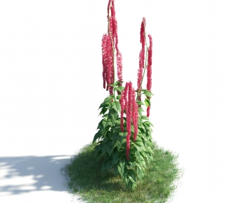 Modern Flowers And Grass-ID:338710078