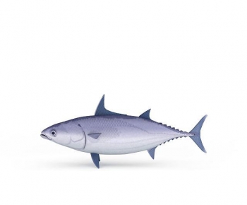 Modern Aquatic Animals-ID:833570006