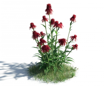 Modern Flowers And Grass-ID:177162892