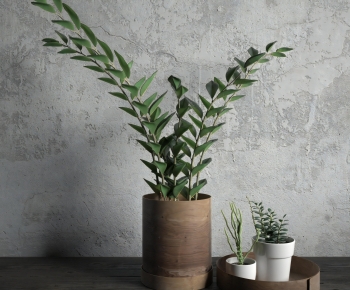 Modern Potted Green Plant-ID:156445039